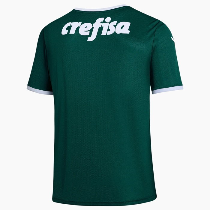 Camiseta Palmeiras 2022 Dorsal