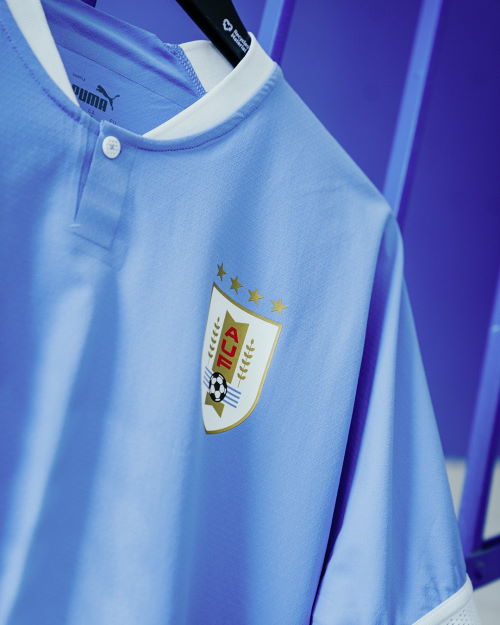 Camiseta Uruguay Mundial 2022 Escudo
