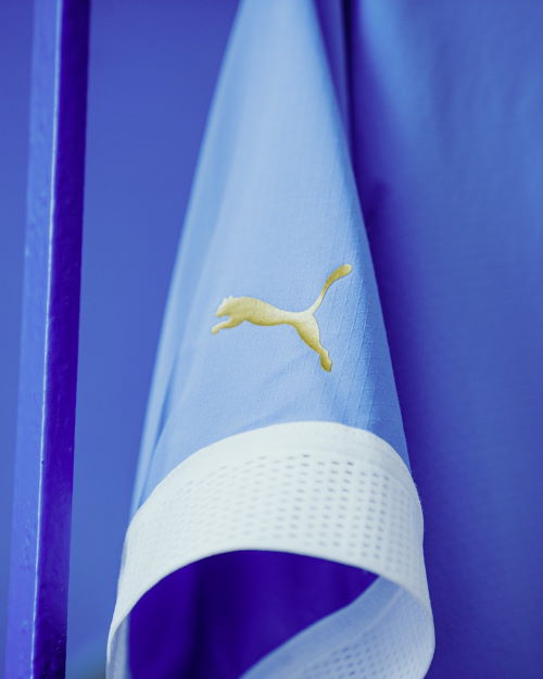Camiseta Uruguay Mundial 2022 Mangas